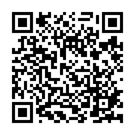 DIGILYZR Profile QR